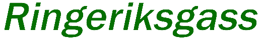 Ringeriksgass logo
